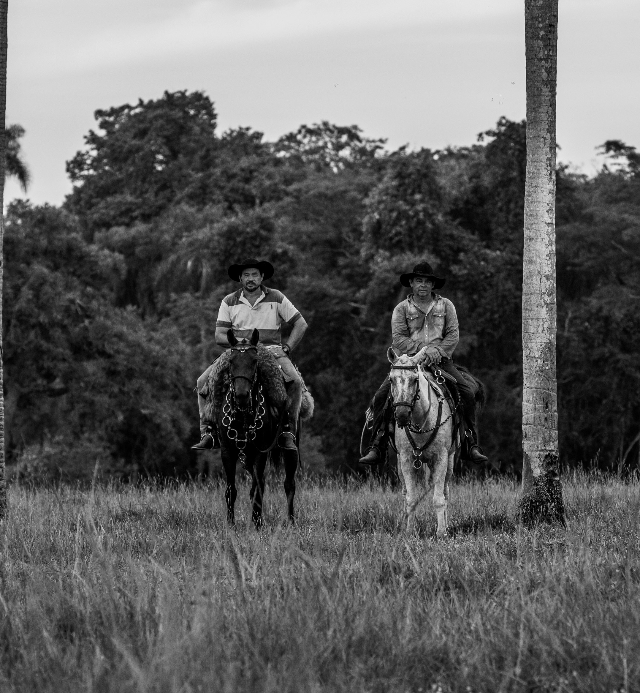 Homem pantaneiro à cavalo no Pantanal