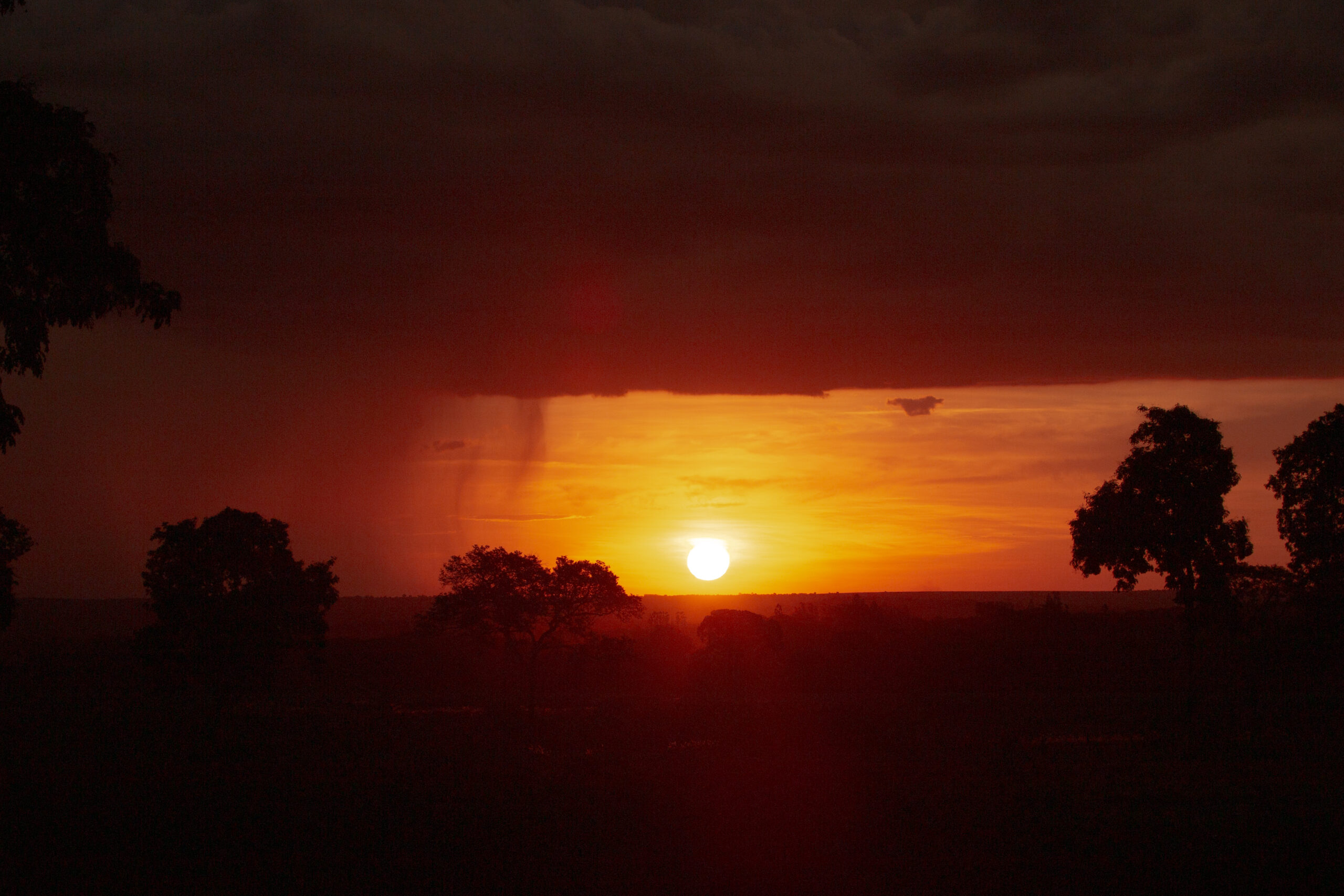 Pôr do sol no Pantanal onde o sol parece uma bola de fogo