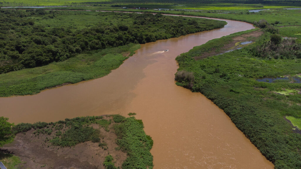 Abril no Pantanal: Natureza em Transição 1 DJI 0144
